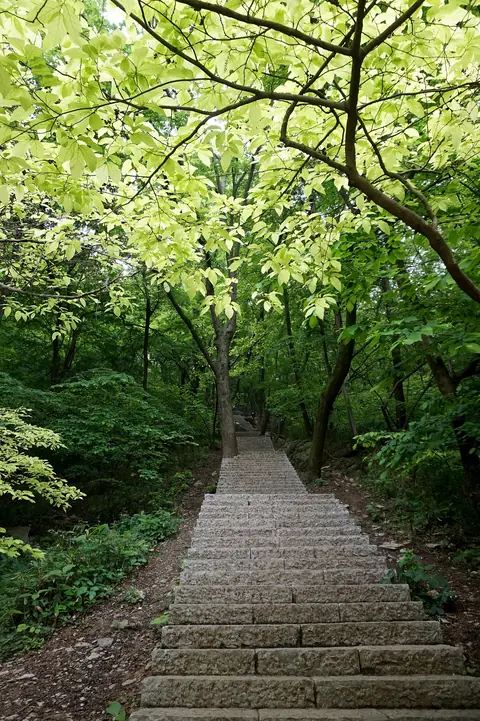 滁州 3