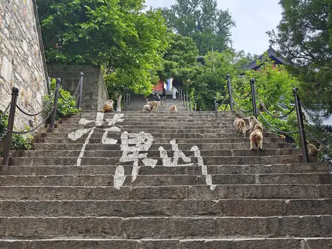 连云港 1